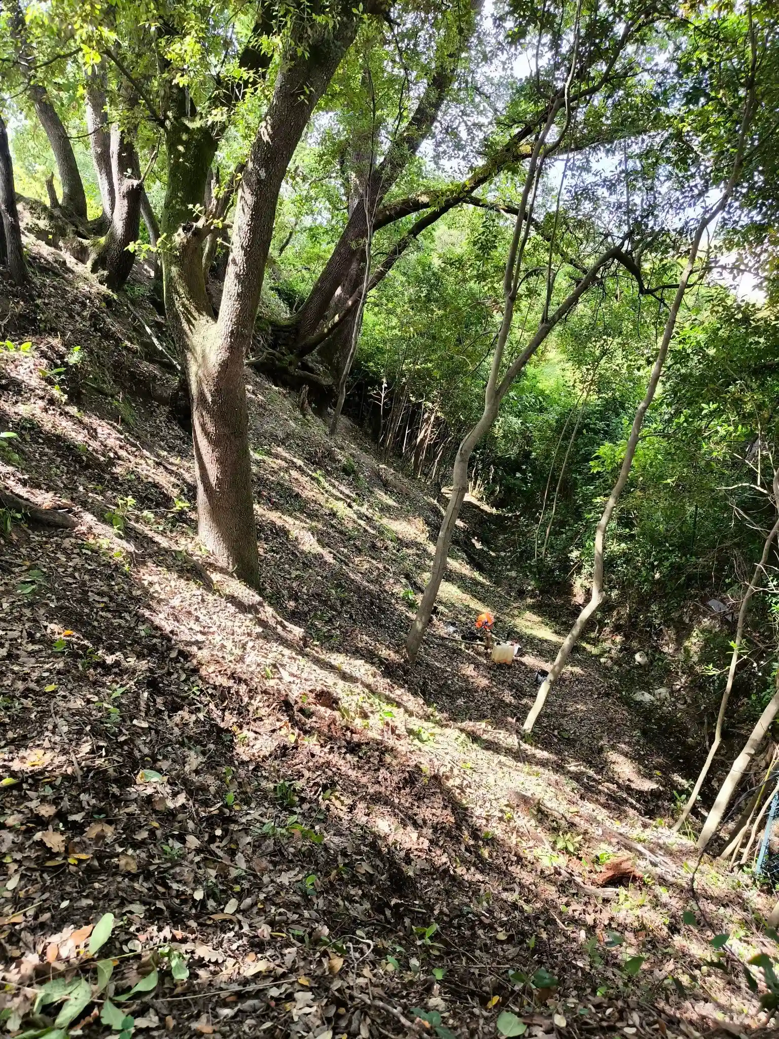 Débroussaillage normes incendie DFCI — Var