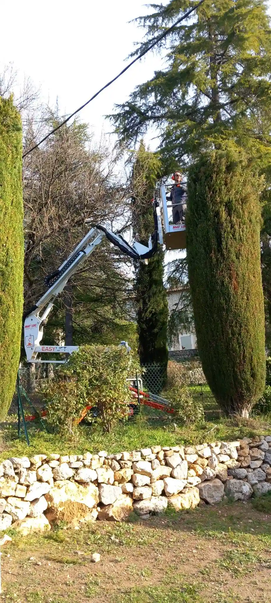 Taille cyprès chandelle avec nacelle — Montauroux