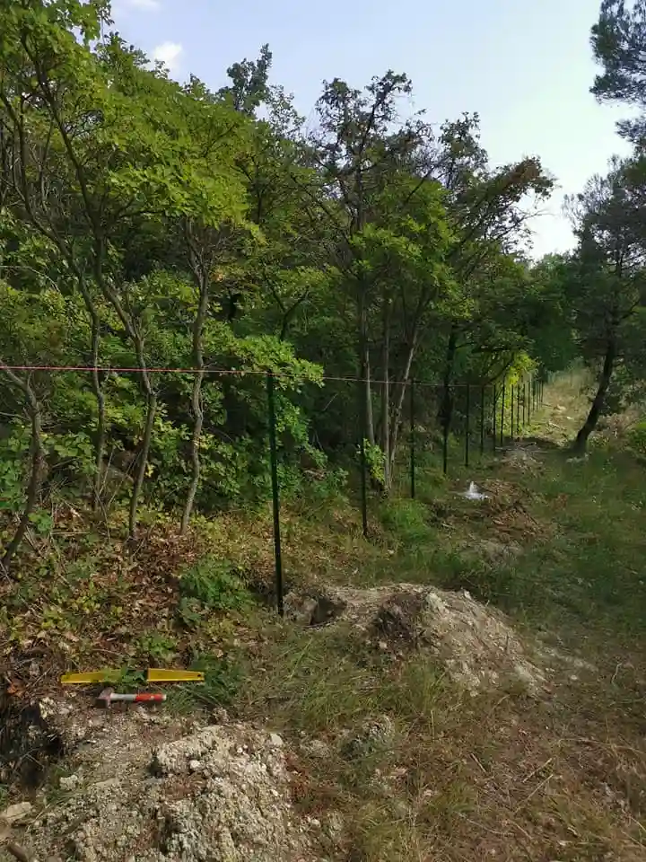 Grillage souple en cours — Tourrettes