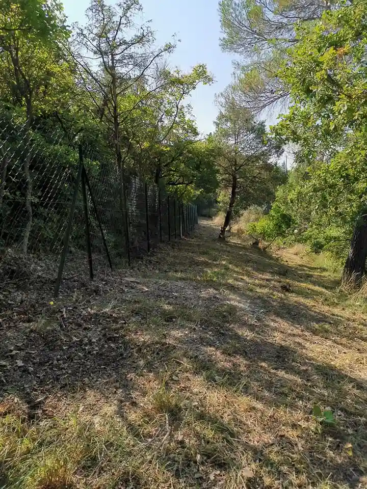 Grillage souple fini — Tourrettes