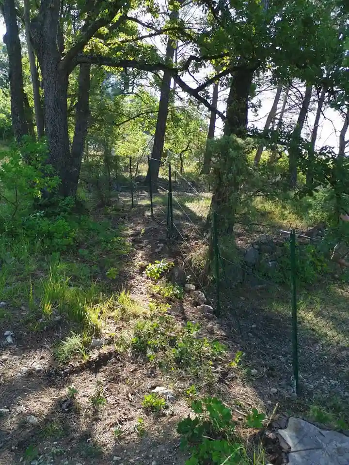 Grillage souple 2 — Tourrettes